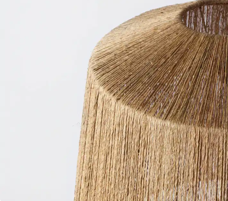 Lustra Leonidas din Iuta